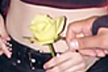 Mike Inez, Carlos Delvalle, Girls & Roses